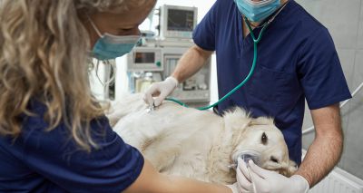 Device could 'capture' exhaled anaesthetic from surgeries